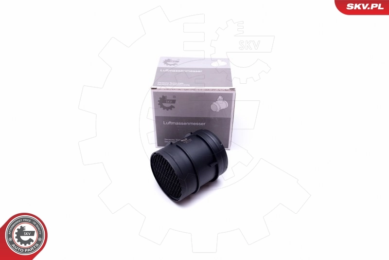 Mass Air Flow Sensor